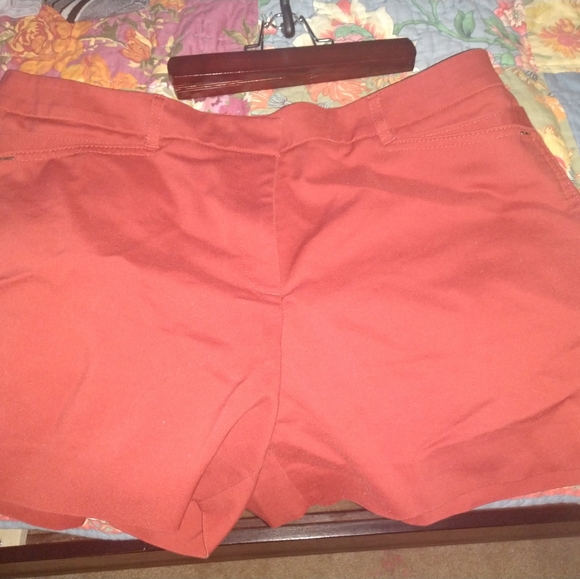 Short Shorts - Picture 4 of 5